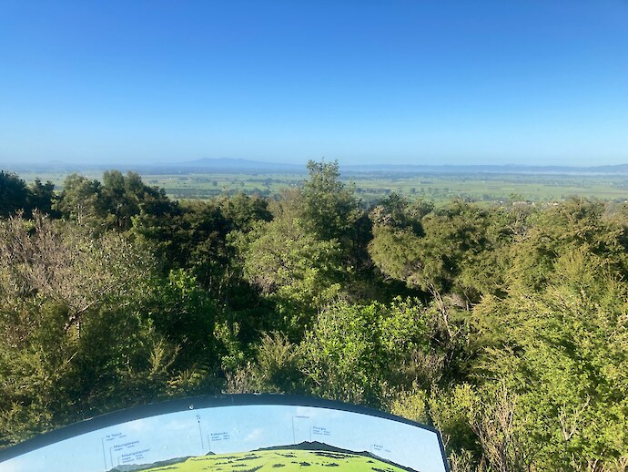 Tower viewing platform